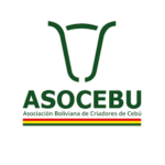 asocebu